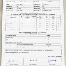 Report Card Marks Edit