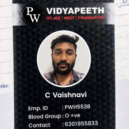 ID Card Photo Swap