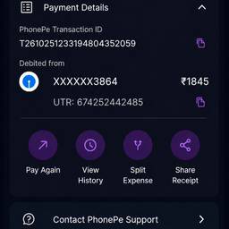 PhonePe Payment Screenshot Edit