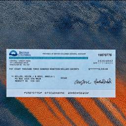 Edit Cheque MICR Numbers