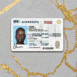 Minnesota License Cleanup