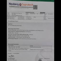 After - Change Name on Form