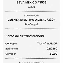 Después - Editar recibo de transferencia bancaria