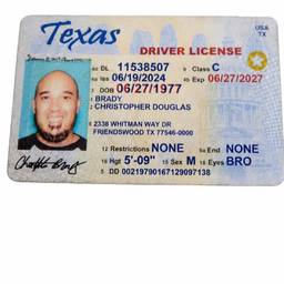 Texas Driver's License Date Edit