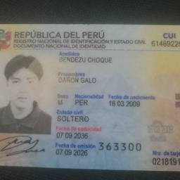 Peruvian DNI Year Edit