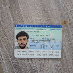 ID Card Face Swap