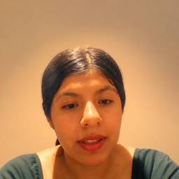 Warm Soft Portrait Filter