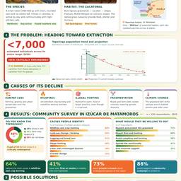 Avant - Modifier les Chiffres d'une Infographie