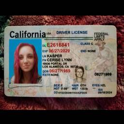 Nachher - Driver's License Photo Swap