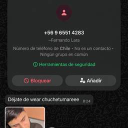 Depois - Edição de texto em chat do WhatsApp