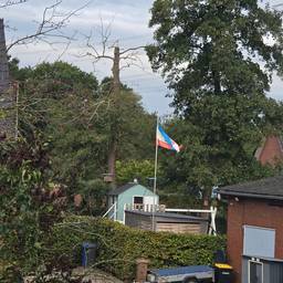 Before - Polish Flag Photo Edit