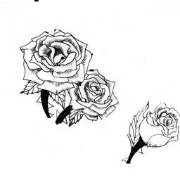 Before - Move Objects in Drawing
