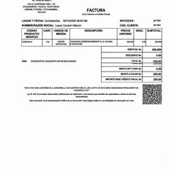 Invoice Line Item Removal