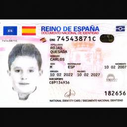 Spanish DNI Birthdate Edit