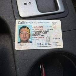 Antes - Mejora de foto de licencia de conducir