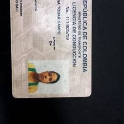 Driver's License Year Edit