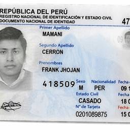 Peru DNI Expiry Date Edit