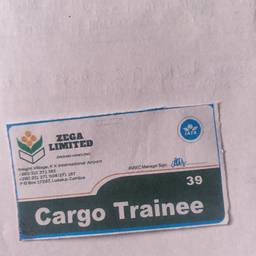 Cargo Trainee Badge Edit