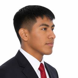 Profile View Portrait Edit