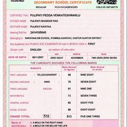 Depois - Nivelar Certificado Digitalizado
