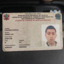 Peruvian License Date Edit