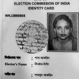 Voter ID Year Edit