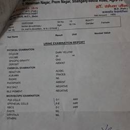 Lab Report Name Edit