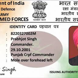 Army ID Photo Swap