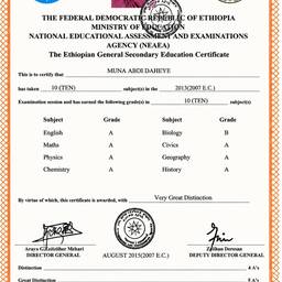 Edit Certificate Document