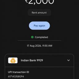 UPI Payment Date Edit