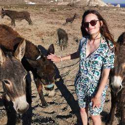 Add Donkeys to Photo