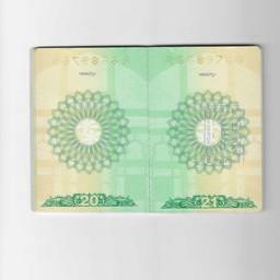 Before - Banknote Stamp Removal