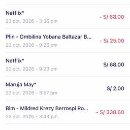 Netflix Payment Screenshot Edit
