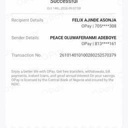 OPay Receipt Amount Edit