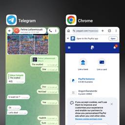 Antes - Edición de Saldo de PayPal
