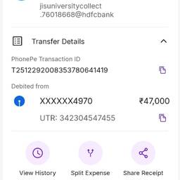 Before - PhonePe Receipt Amount Edit