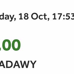 Payment Amount Edit