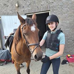 Avant - Retouche Photo Cheval Alerte