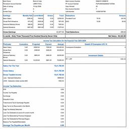 Realistic Payslip Edit