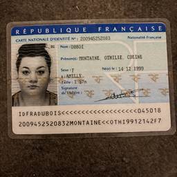 French ID Card Text Edit