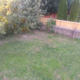 Before - Backyard Dog House Fence