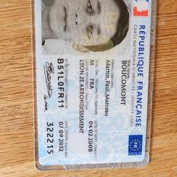 French ID Card DOB Edit