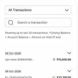 Bank Statement Amount Edit
