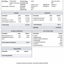 Payslip Date Update