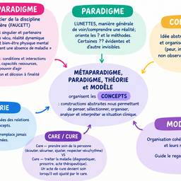 Depois - Edição de Diagrama de Teoria de Enfermagem