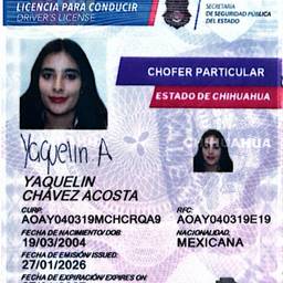 Driver's License Surname Edit
