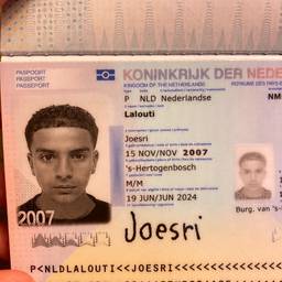 Passport Birth Year Edit
