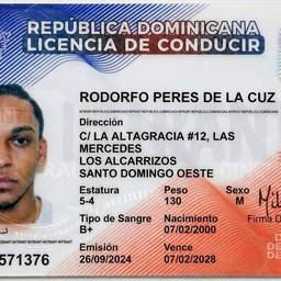 Dominican License Name Edit