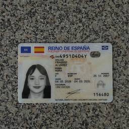 Spanish DNI Date Edit