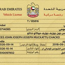 After - UAE Vehicle License Edit